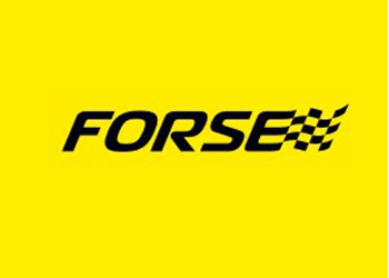 Аккумуляторы для автомобилей Forse