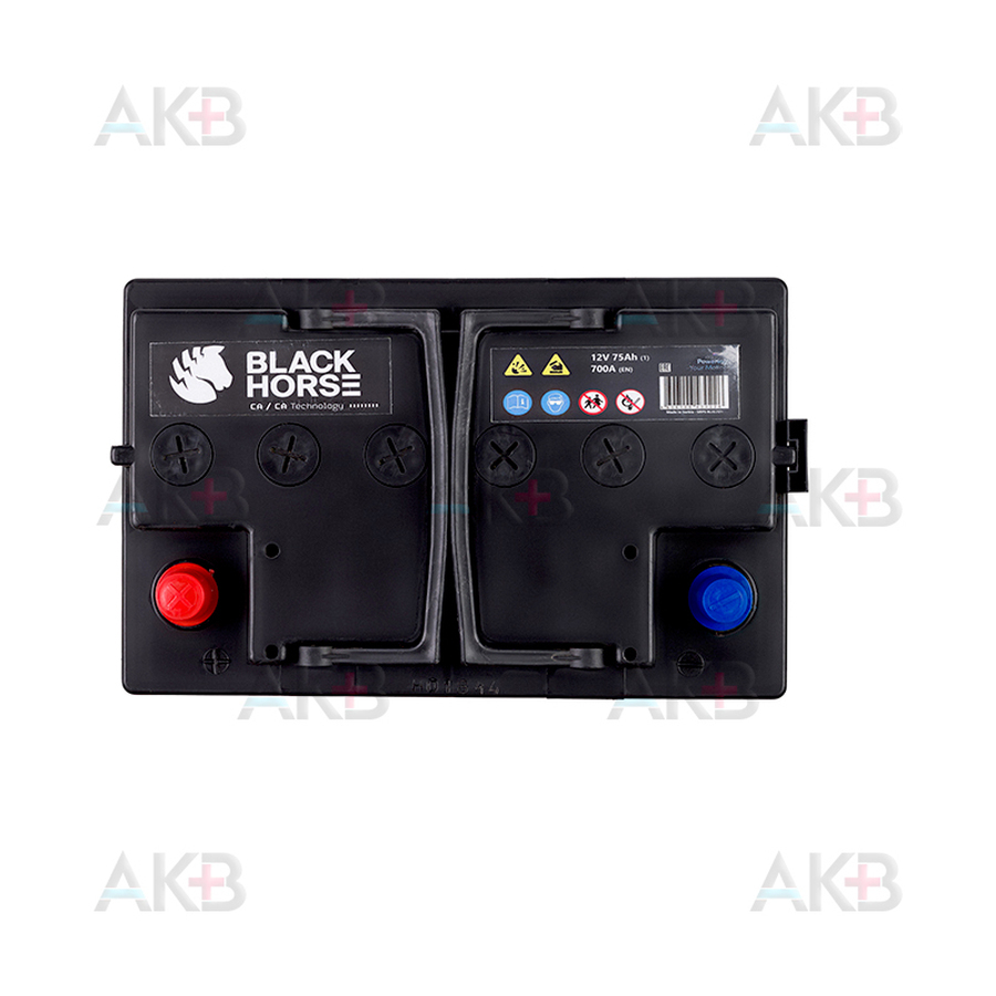 Автомобильный аккумулятор Black Horse 75R 700A 278x175x190