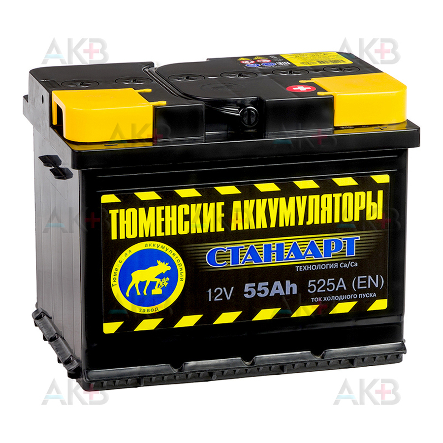 Автомобильный аккумулятор Tyumen Battery Standard 55 Ач обр. пол. 525A (242x175x190)