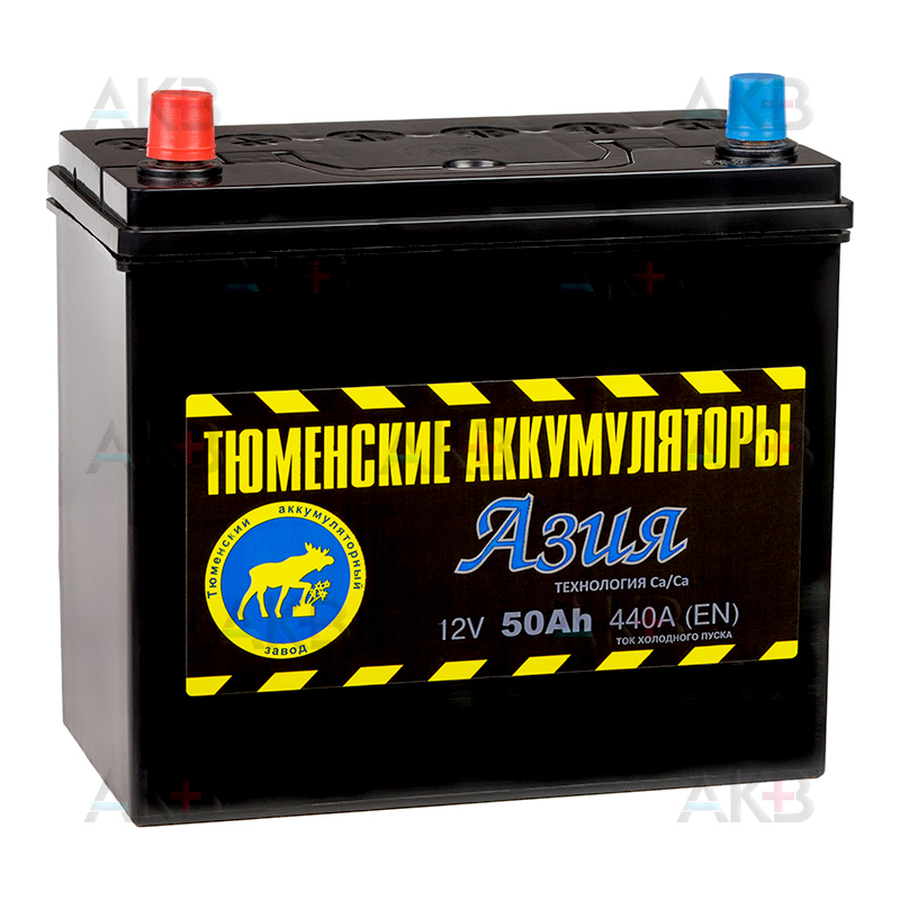 Автомобильный аккумулятор Tyumen Battery Asia 50 Ач прям. пол. 410A (238x129x227)