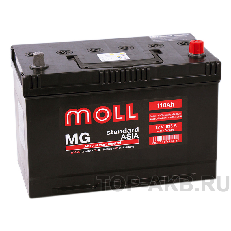 Автомобильный аккумулятор Moll MG Standard Asia 110R 835A 292x170x215