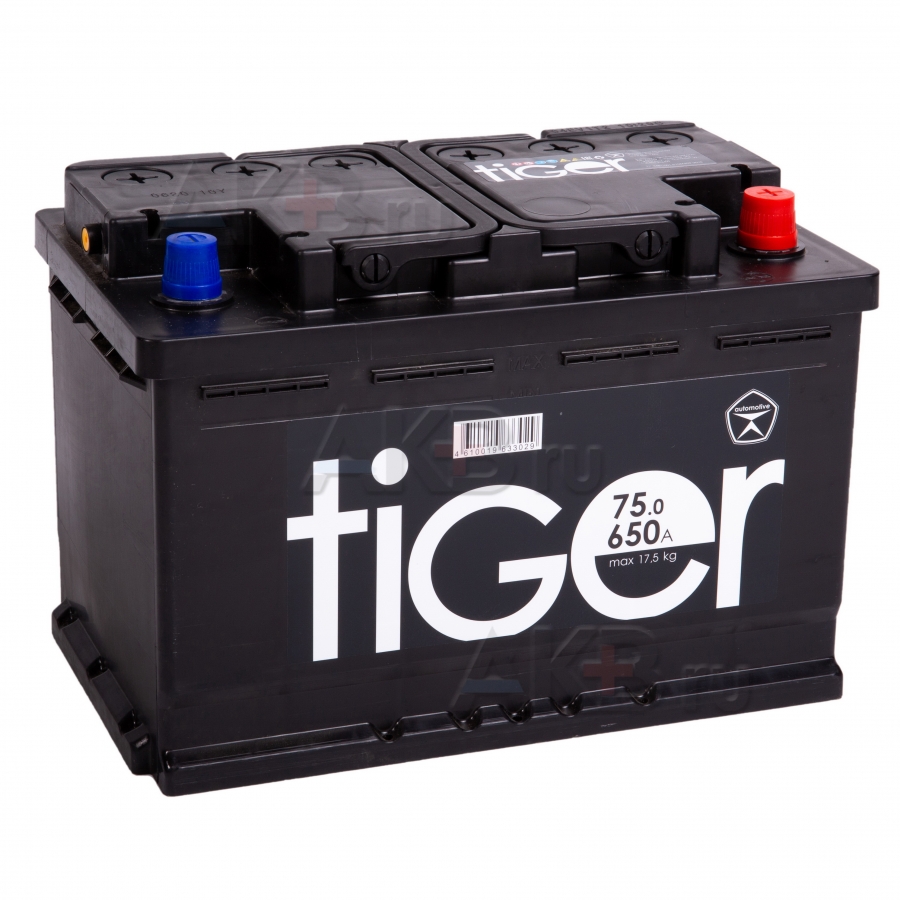 Автомобильный аккумулятор Tiger 75R 620A 278x175x190