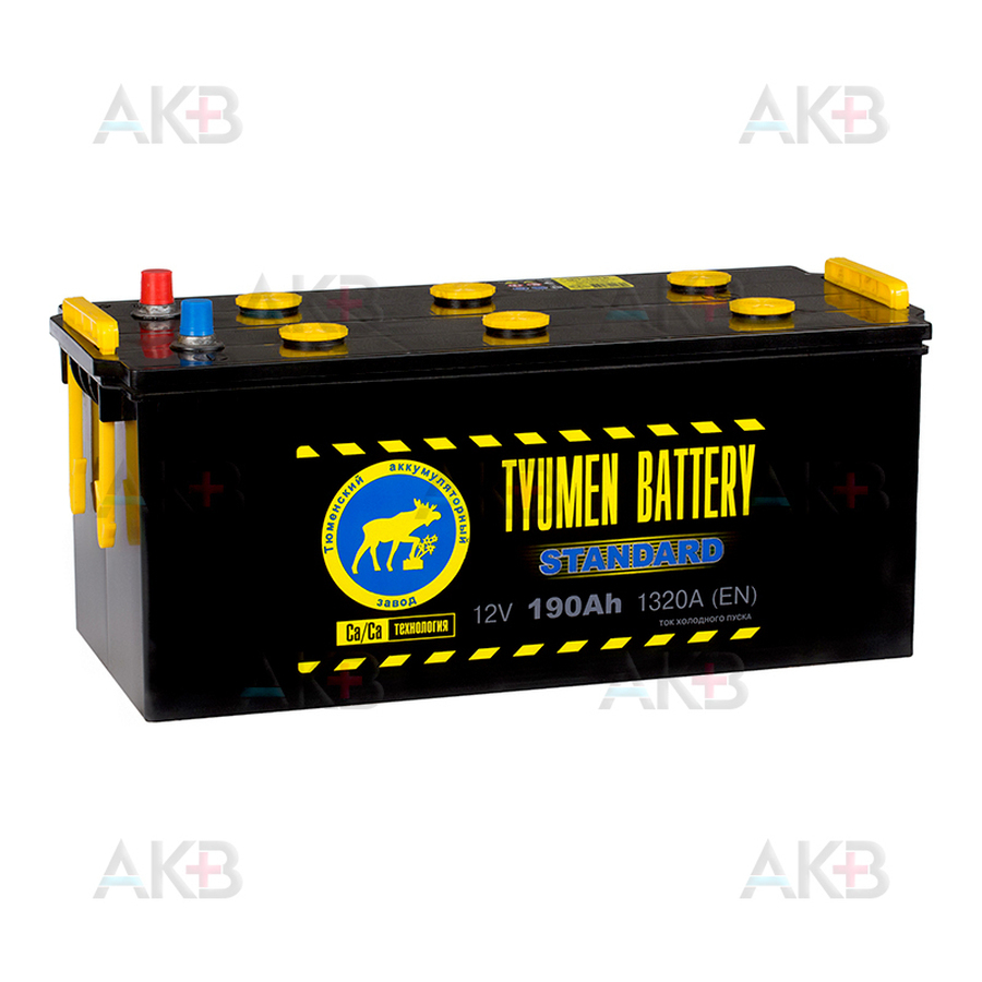 Автомобильный аккумулятор Tyumen Battery Standard 190 Ач обр. пол. 1320A (518x228x238)