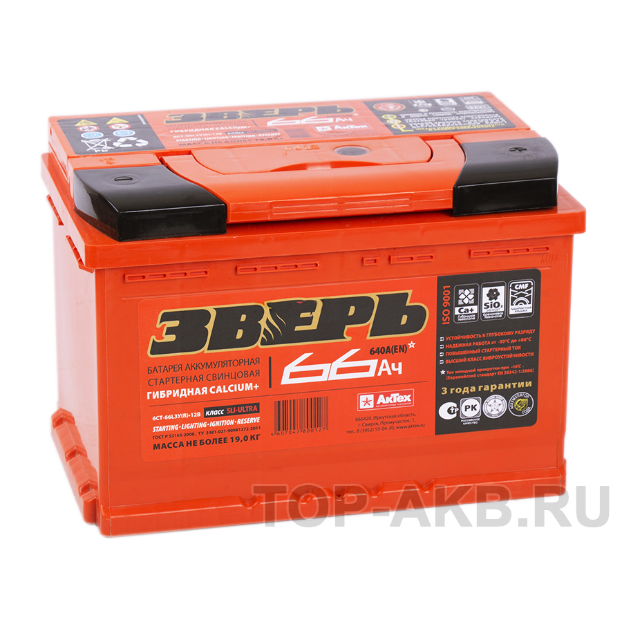 Автомобильный аккумулятор Зверь 66R 640A 278x175x190