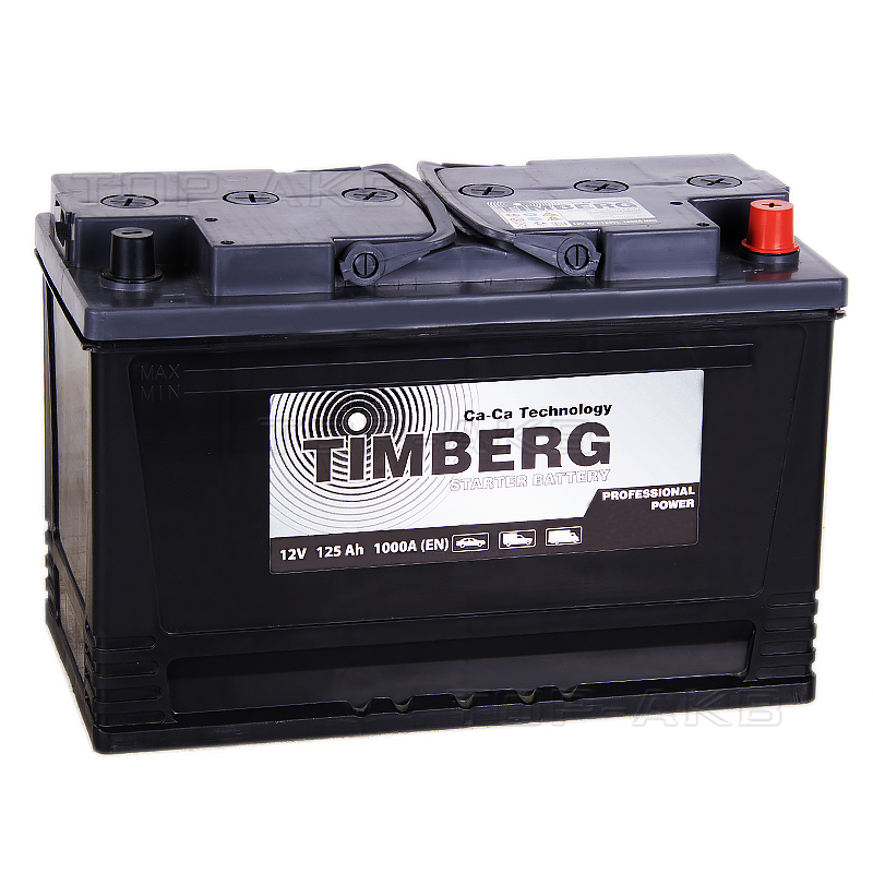 Автомобильный аккумулятор Timberg PRO 125R 1000A 350x175x230