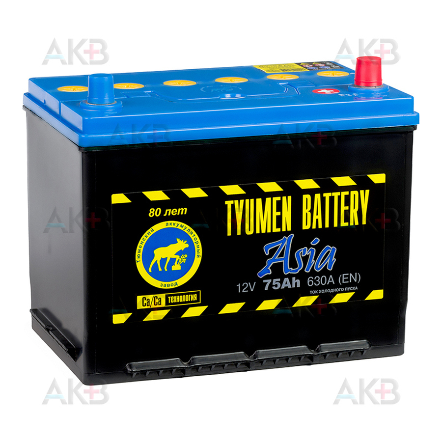 Автомобильный аккумулятор Tyumen Battery Asia 75 Ач обр. пол. 630A (266x173x225)