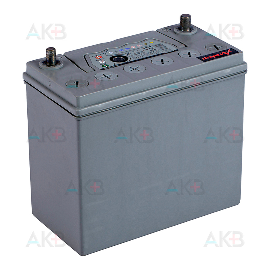 Автомобильный аккумулятор Space Asia 65B24R (55L 480A 238x129x225)