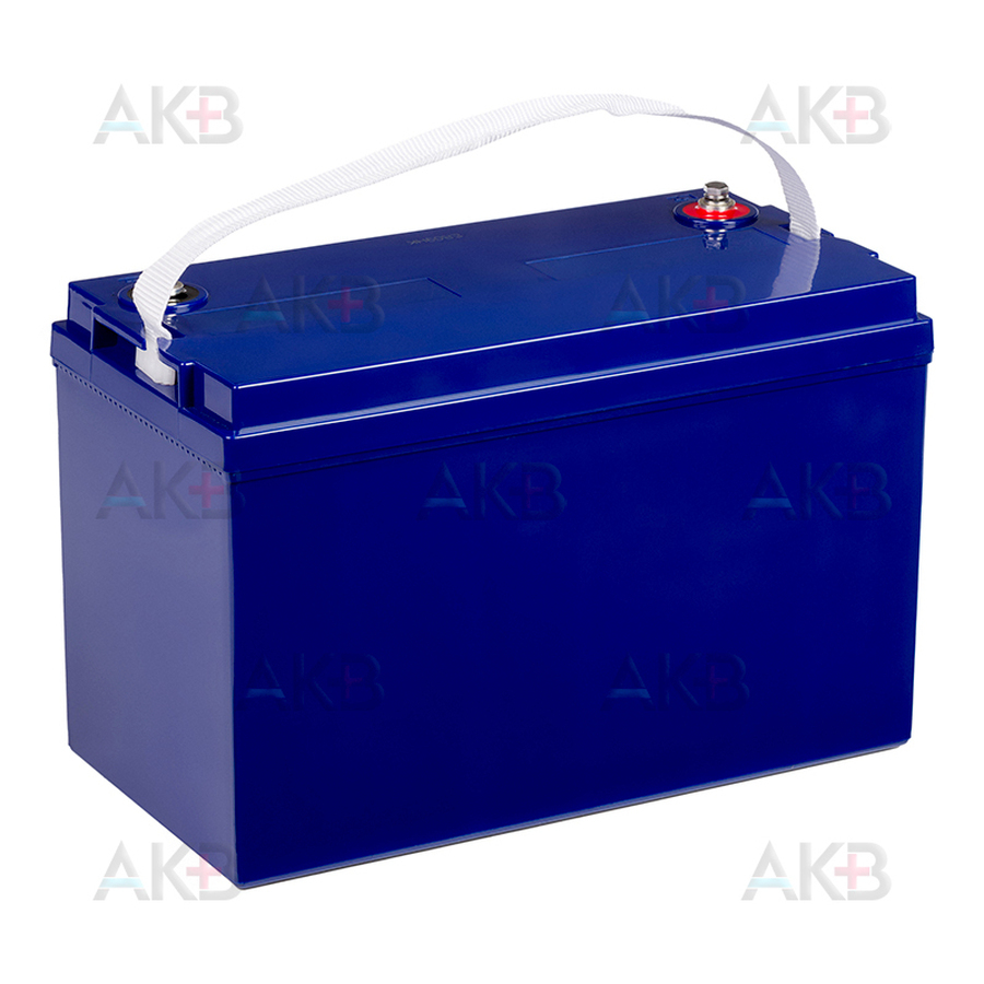 Аккумуляторная батарея С.EXPERT CHRL 12100 (12V 100 Aч 330x171x214)