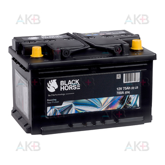 Black Horse 75R 700A 278x175x190