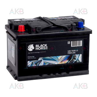Black Horse 75L 700A 278x175x190
