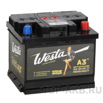 Westa 50R 480A 207x175x175
