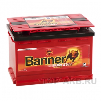 BANNER uni Bull (50 200) 58 450A 241x175x175