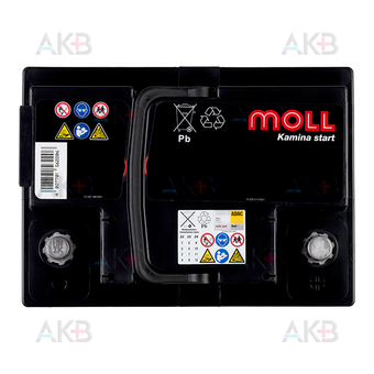 Автомобильный аккумулятор Moll Kamina Start 62R 520A (242x175x190). Фото 1