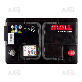 Автомобильный аккумулятор Moll Kamina Start 74R 680A (278x175x190). Фото 1