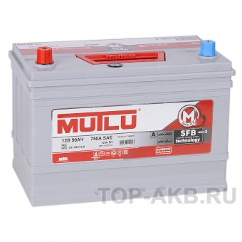 Mutlu Calcium Silver 90L Asia 720A 306x175x225