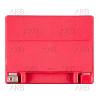 Мото аккумулятор RDrive YIX30L-GEL 12V 31,6Ah 400А GEL обр. (166х126х175) GOLD. Фото 1