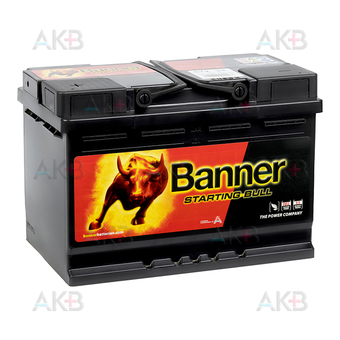 Banner Starting Bull (572 33) 72L 650A 278x175x190
