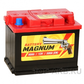Magnum 60R 500A 242x175x190