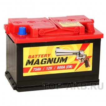 Magnum 75R 600A 278x175x190