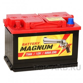 Magnum 75L 600A 278x175x190