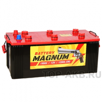 Magnum 190 евро 1150A 513x223x223