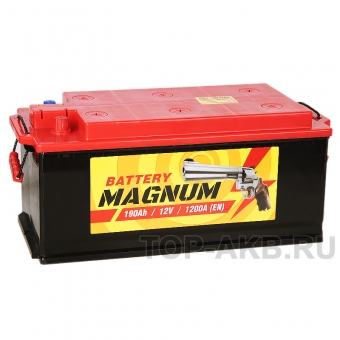 Magnum 190 рус 1200A 513x223x223