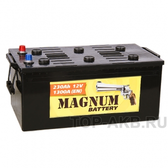 Magnum 230 евро 1350A 517x273x240
