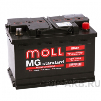 Moll MG Standard 80R 750A 276x175x190
