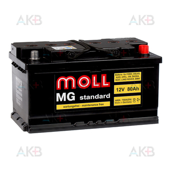 Moll MG Standard 80 SR 750A 315x175x175