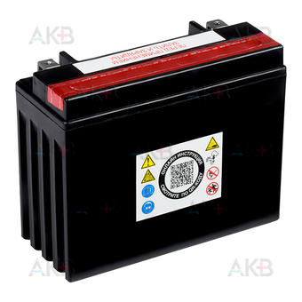 Мото аккумулятор RDrive YTX24HL-BS 12V 23,1Ah 350А обр. пол. AGM сухозаряж. (205x87x162) eXtremal SILVER. Фото 2