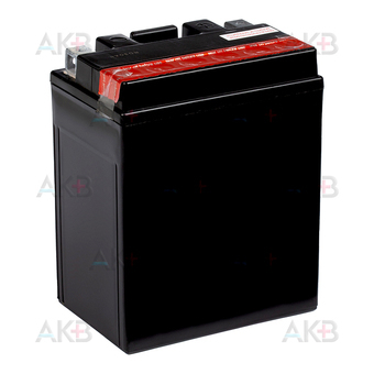 Мото аккумулятор RDrive YB14-A-PW 12V 12,6Ah 210А прям. пол. AGM сухозаряж. (135x90x166) eXtremal SILVER. Фото 2