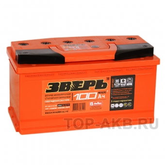 Зверь 100R 900A 353x175x190