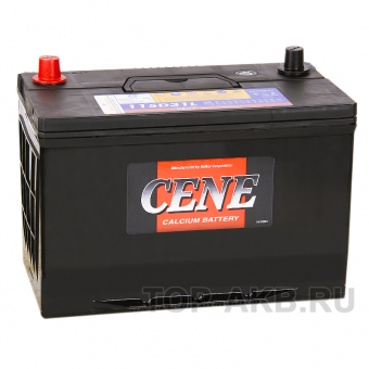 Cene 115D31L (100R 800A 306x173x225)