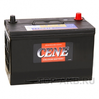 Cene 115D31R (100L 800A 306x173x225)