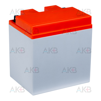 Мото аккумулятор Delta CT 1230, 12V 30Ah, 300А (166х126х175) YiX30L-BS, YB30L-B, YiX30L обратная пол.. Фото 2