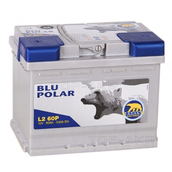 Baren Polar Blu 60L 540A 242x175x190 (L2X60P)