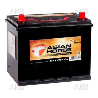 Asian Horse 70R 630A 260x173x225