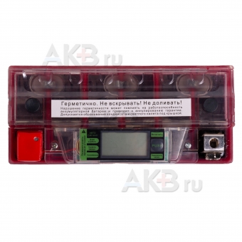 Мото аккумулятор Red Energy DS 1208, 12V 8Ah 120А (150x66x95) YT7B-BS, YT7B-4, YT9B-BS. Фото 1