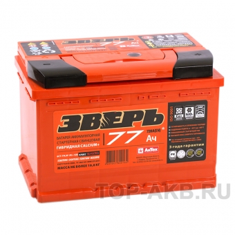 Зверь 77R 720A 278x175x190