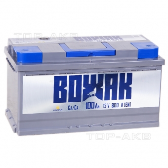 Вожак 100R 800A 353x175x190