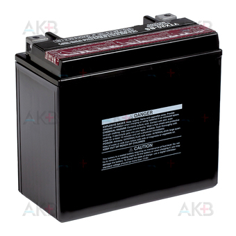Мото аккумулятор Yuasa YTX20-BS - 18,9 Ач 270А (175x87x155) прям. пол. AGM сухозаряж.. Фото 2