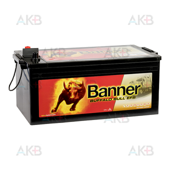 BANNER Buffalo Bull EFB (740 17) 240 евро 1200A 517x273x240