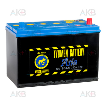 Tyumen Battery Asia 95 Ач обр. пол. 750A (302x173x225)