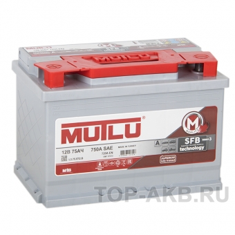 Mutlu Calcium Silver 75L 720A 278x175x190
