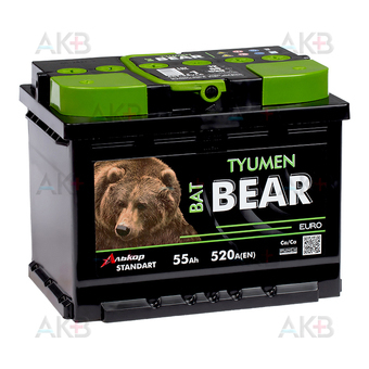 Tyumen BatBear 55L 520А 242x175x190