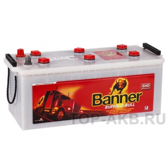 BANNER Buffalo Bull SHD (680 32) 180 евро 1000A 514x223x220
