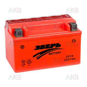 Зверь МОТО AGM ZV7A 12V 7Ah п/п 75А (150x87x93) YTX7A-BS сухозаряж.