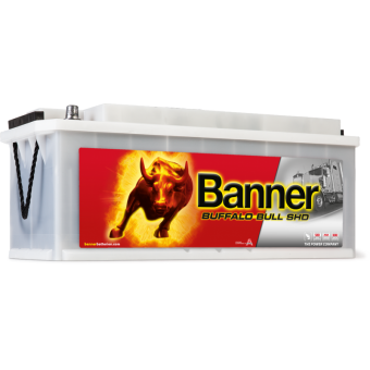 BANNER Buffalo Bull SHD (670 33) 170 евро 1000A 514x218x210