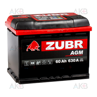 ZUBR AGM 60 Ач 630A (242x175x190) обр. пол.