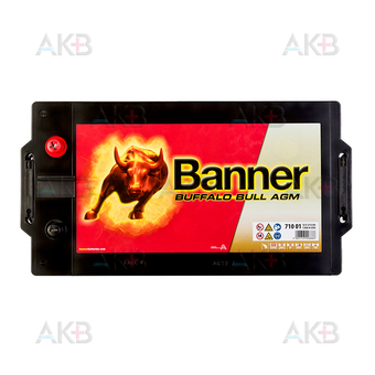Автомобильный аккумулятор BANNER Buffalo Bull AGM (71001) 210Ah 1200A 517x273x212. Фото 1